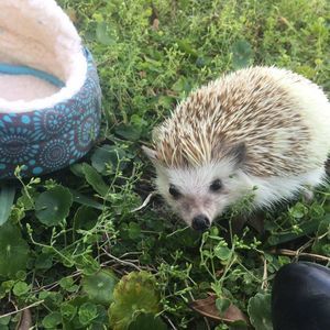 Meet your Posher, Tyler